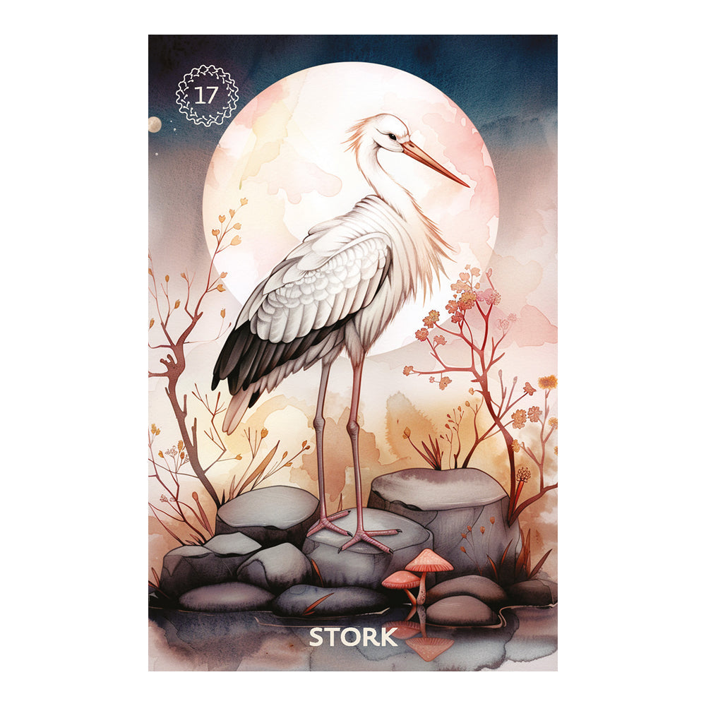 Illustration of a stork standing on rocks with a moonlit background, featuring the number 17 and the word 'STORK'.
