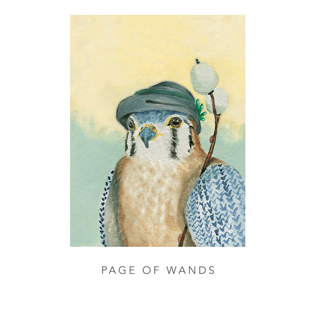 Illustration of a bird with a hat and a branch, titled 'Page of Wands'.